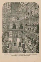 Female convicts at work