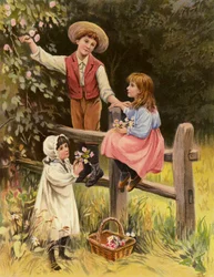 Field Flowers