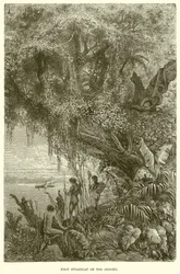 First Steamboat on the Orinoco