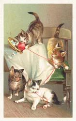 Four Cats Playing with a Ball of Wool