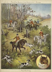 Fox Hunting
