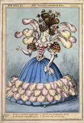 Full Dress for 1828. Dedicated to the Feathered Race