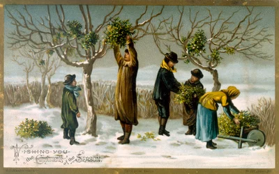 Gathering Mistletoe
