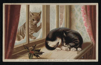 Ginger cat looking through a window at another sleeping cat, Christmas greetings card