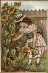 Girl Picking Sunflowers in a Garden