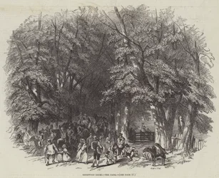 Goodwood Races, the Park