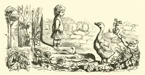 Goosey, Goosey Gander