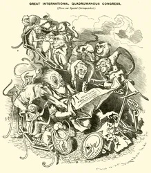 Great International Quadrumanous Congress