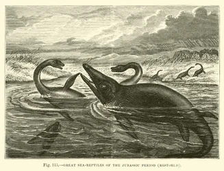 Great Sea-Reptiles of the Jurassic Period, Restored