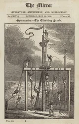 Gymnastics - The Climbing Stand