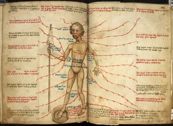 Miniature of a bloodletting man with one foot in a bleeding pan and a spindle in his hand, illustration from 