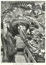 He Tended the Plants as if He Loved Them!