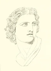 Head, Displaying Manly Vigour and Heroic Resolution