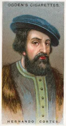 Hernando Cortes