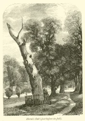 Hernes Oak, just before its fall