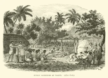 Human Sacrifices at Tahiti, after Cook