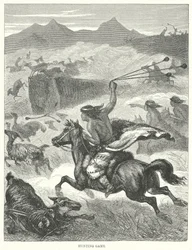 Hunting Game