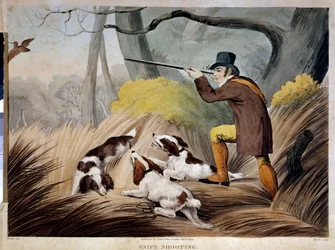 Hunting a Beak in England