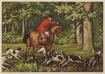 Hunting with hounds