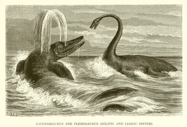 Ichthyosaurus and Plesiosaurus, Oolitic and Liassic System