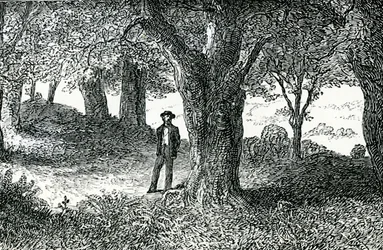 Illustration from 