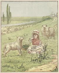In the Meadows