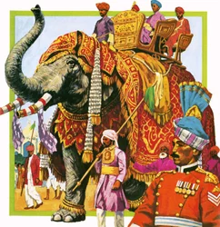 Indian elephant