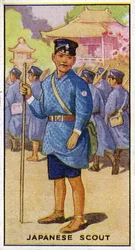 Japanese Scout