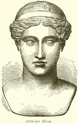 Juno (or Here)