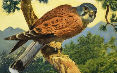 Kestrel