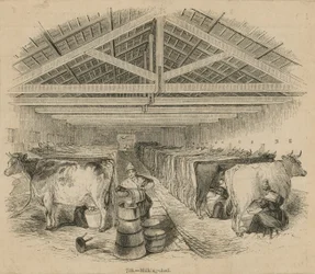 Laycocks Dairy Farm, dated July 1841