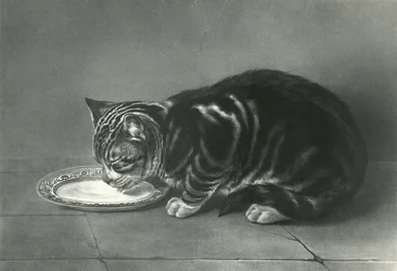 The Glutton