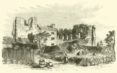 Leicester Abbey