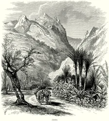Limino