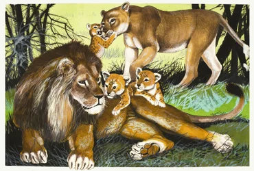 Lion, lioness and cubs