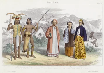Malay Race