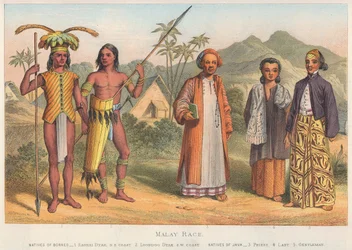 Malay Race (coloured engraving)