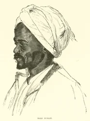 Male Nubian