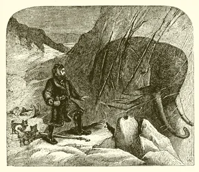 Mammoth in the ice