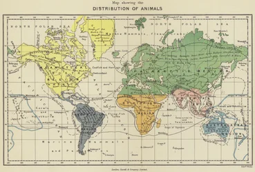 Map Showing the Distribution of Animals