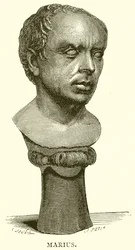 Marius