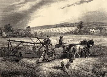 McCormick