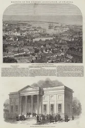 Meeting of the British Association, at Swansea