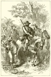 Mexican Filibusters on the March