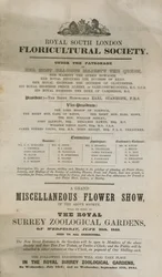 Miscellaneous Flower Show