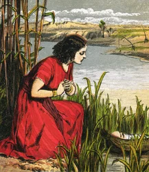 Moses Being Put in the Bull Rushes