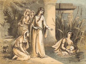 Moses in the Bulrushes
