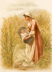 Moses in the bulrushes