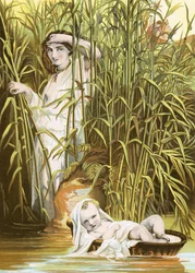 Moses in the Bulrushes