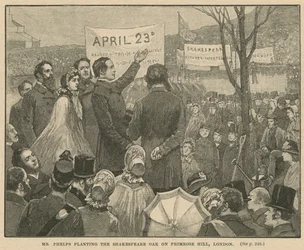 Mr Phelps planting the Shakespeare Oak on Primrose Hill, London